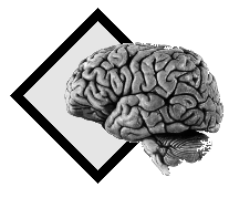 brein.gif (16988 bytes)